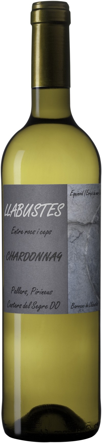 llabustes-chardonnay-2016