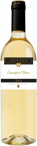 antina-sauvignon-blanc-2017