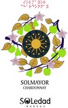 solmayor-chardonnay-2019