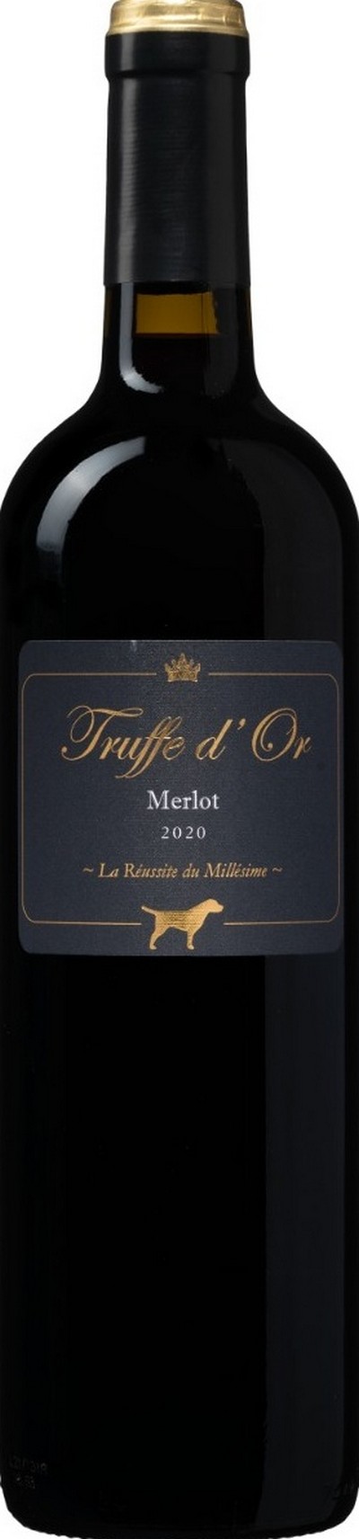 truffe-dor-merlot-2020